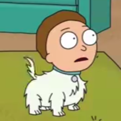 Profile picture of Dog Morty